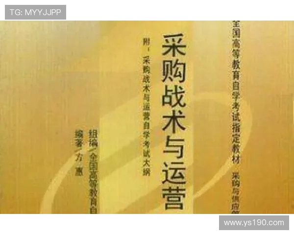 武汉排球队的战术创新与运营体系分析探讨